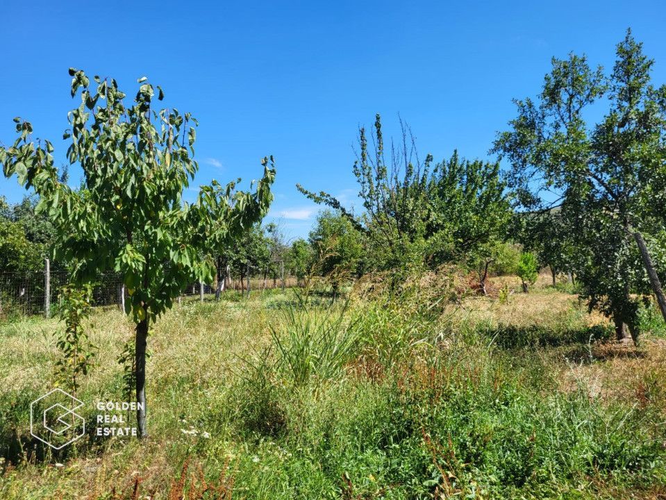 Casa, comuna Paulis - Poză 3