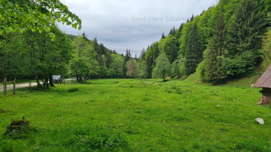 13005 mp teren faneata in Bran Simon cu fornt de 57 mp - Poză 6