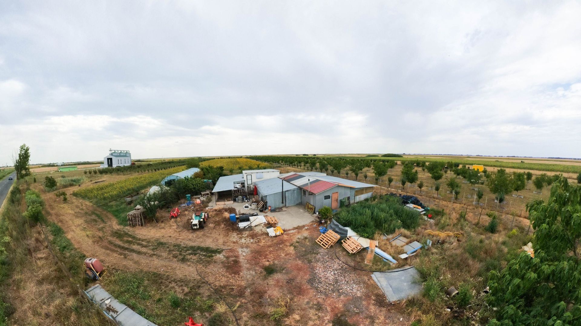 Livadă de 3,6 hectare în Iratoșu – Oportunitate - Poză 7