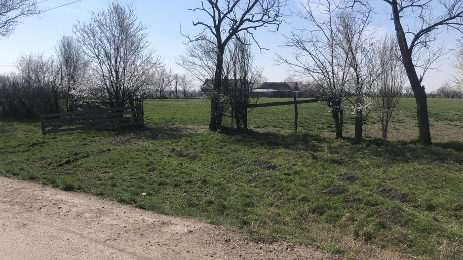 Teren Cheveresul Mare-2863 mp - Poză 4