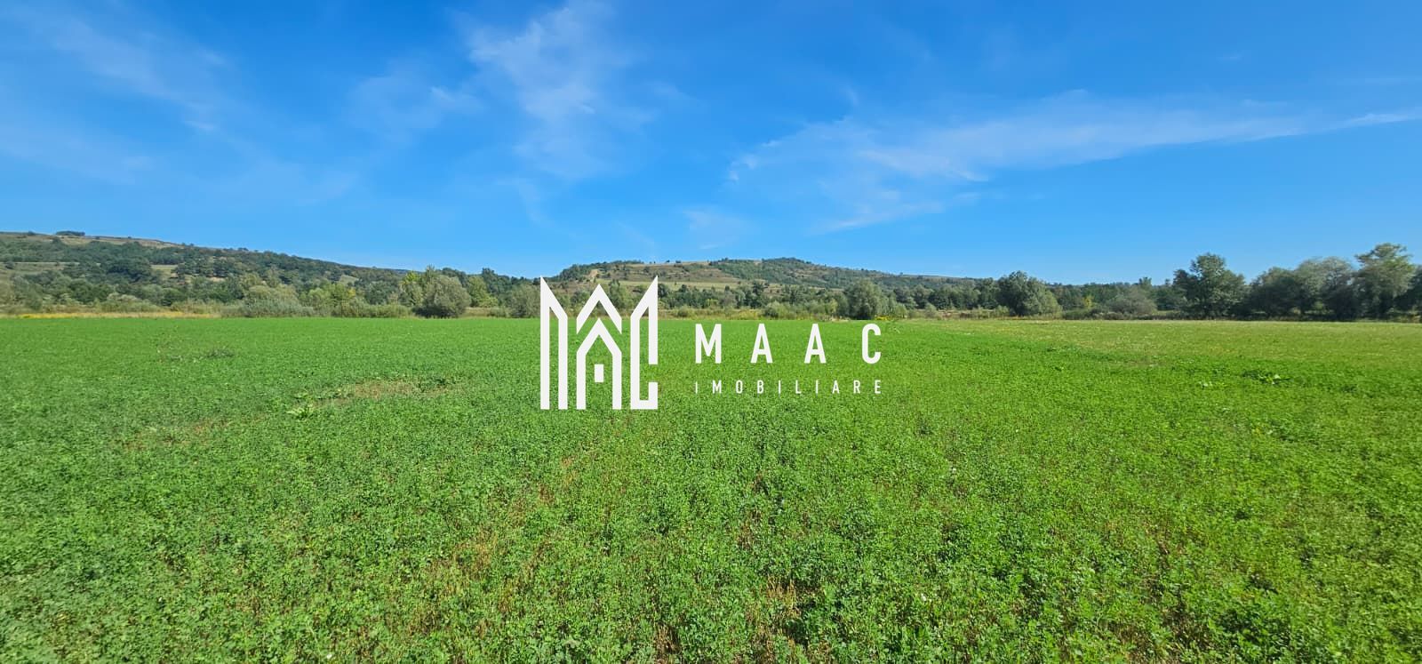 Teren 3.500 mp | Lângă canalul Oltului  | Porumbacu de Jos - Poză 2