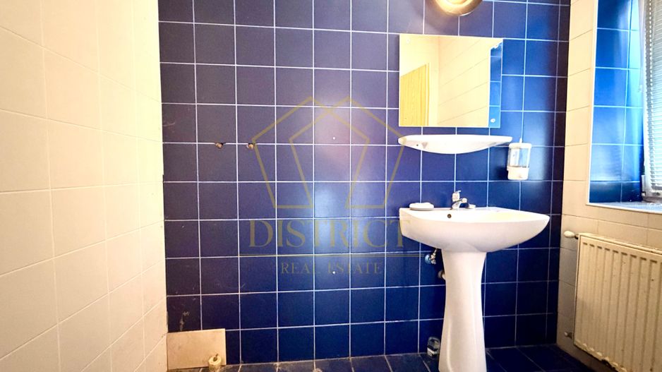 Proprietate multifuncțională cu potențial ridicat | Blascovici - Poză 13