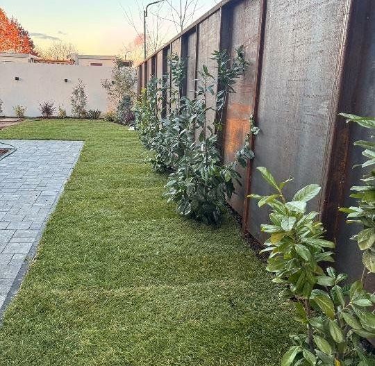 Vila de Lux | Piscina si Finisaje Premium | Zona Exclusivista - Poză 5