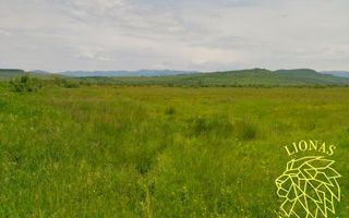 Teren 13100 mp-parcelabil-ideal cabana/agricultura-Orheiul Bistritei - Poză 3