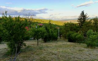 Teren Intravilan Podgoria - Poză 4