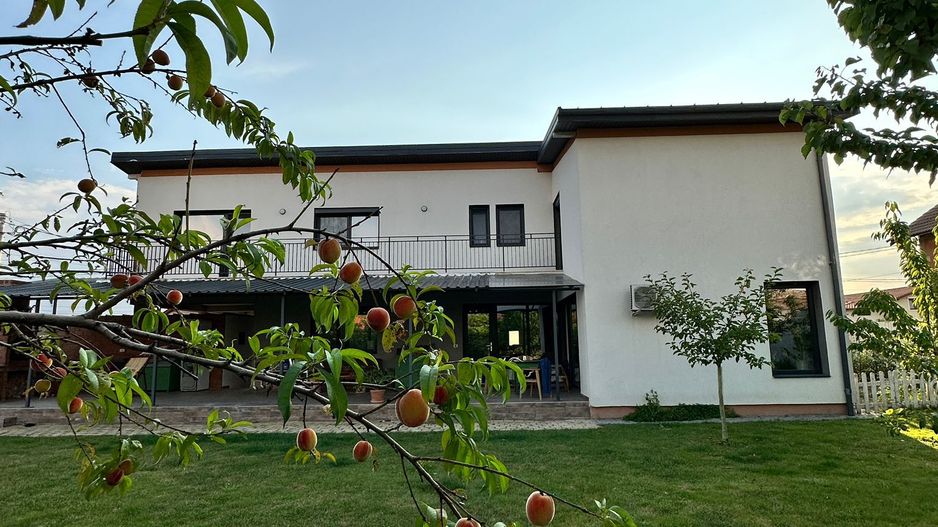 Vila Sinanadrei - Poză 11