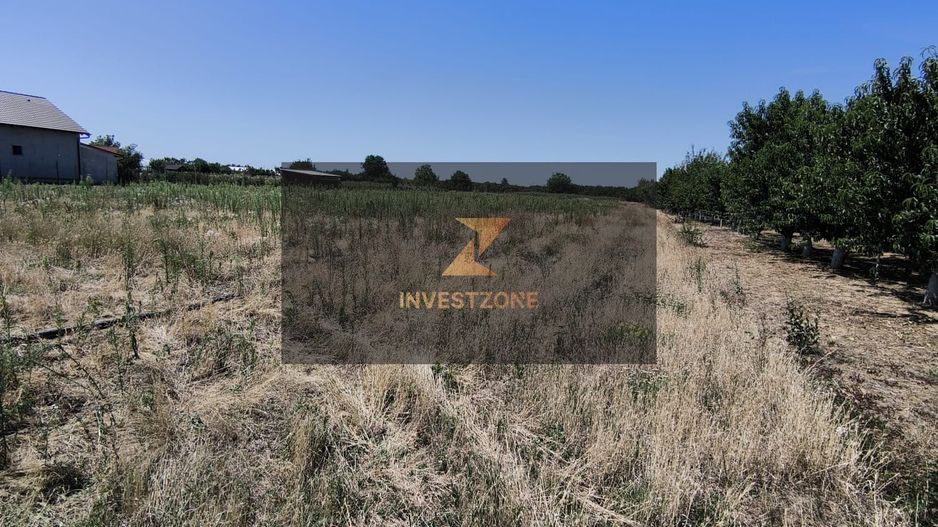 Teren intravilan Biharia 11058 mp - Poză 2