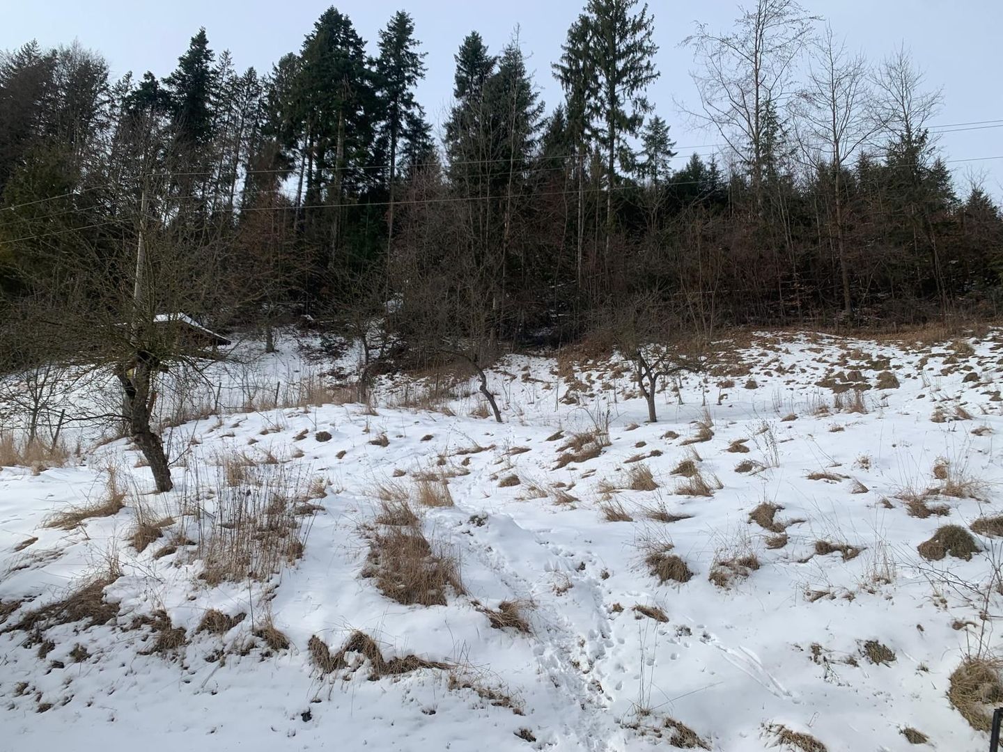 Casă P+E+M Putna | 300 mp utili | Teren 2.200 m - Poză 5