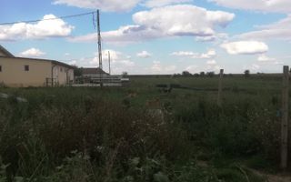 Ferma de vânzare - Poză 12