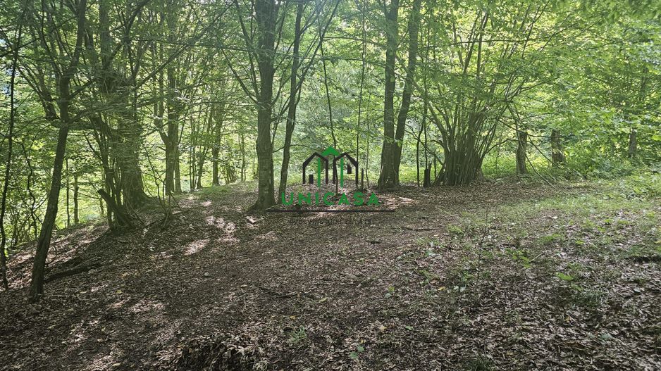 Teren extravilan  cu potential turistic - Brezoi - Poză 5