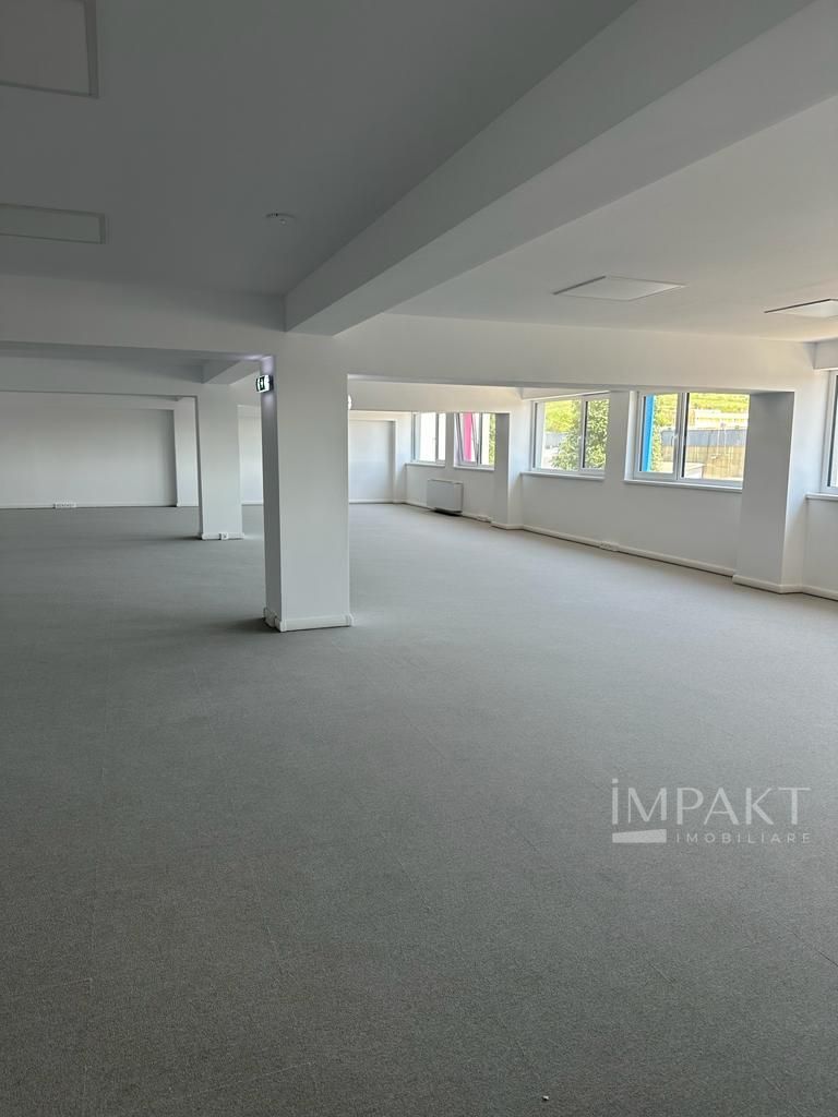 De vânzare spații de birouri și spații industriale | Zona Bd. Muncii - Poză 7