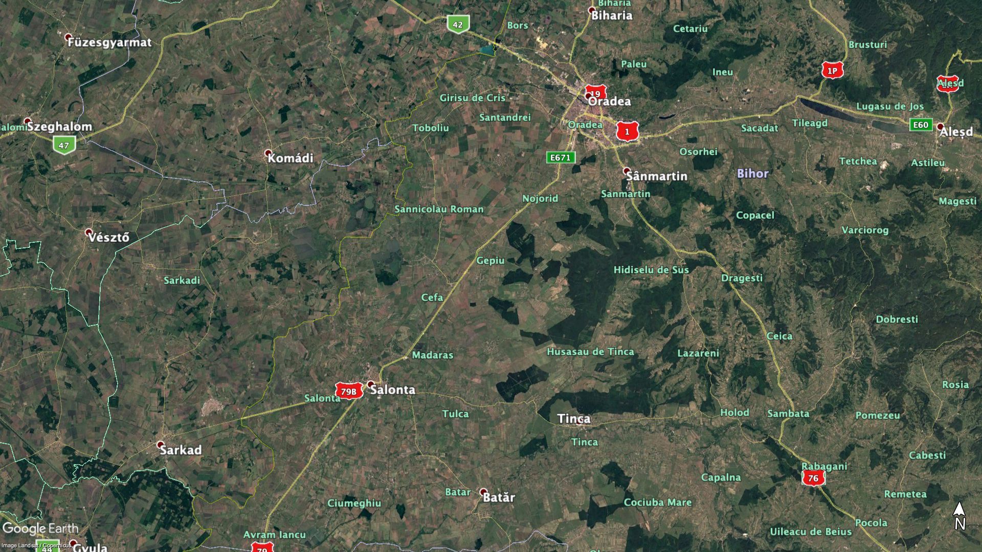 Teren extravilan-agricol 1500 ha judetul Bihor - Poză 1