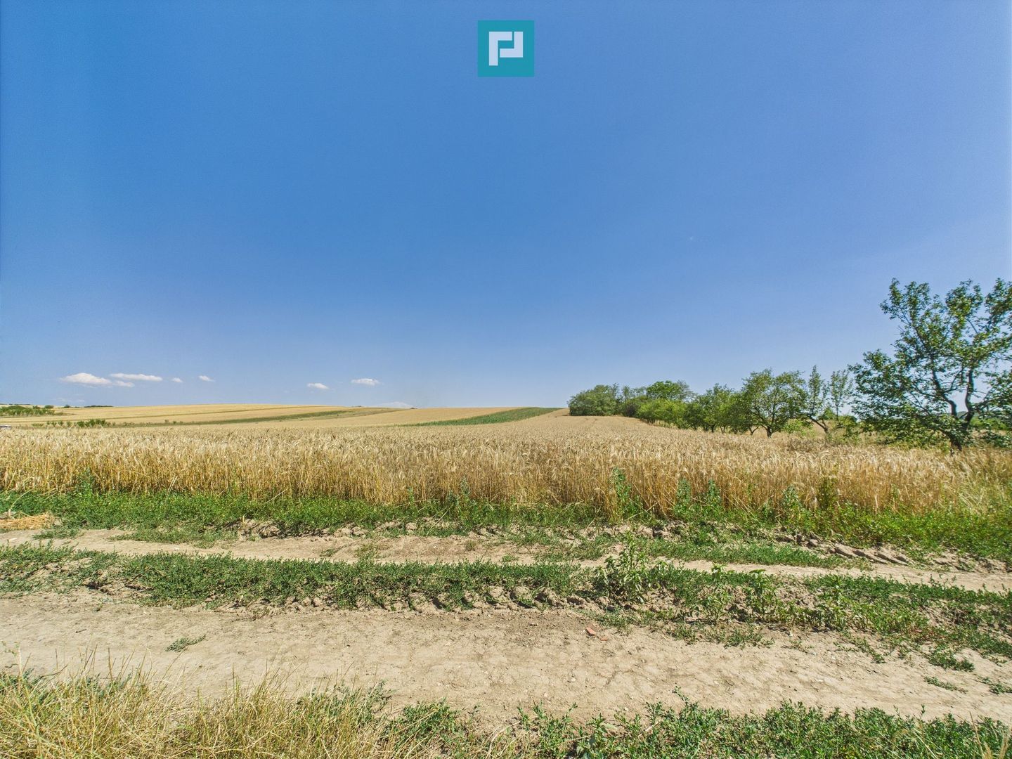 Teren intravilan + extravilan în Remetea Mică - Poză 7