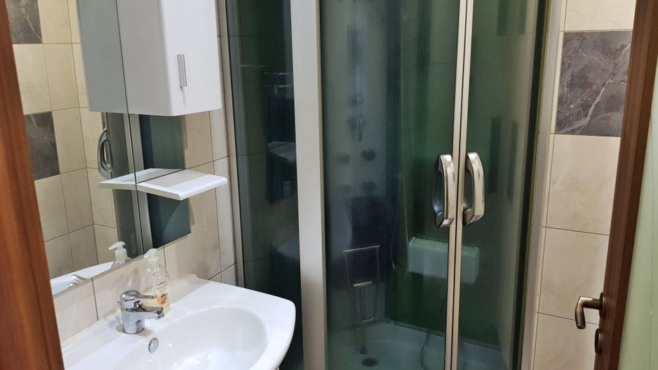 Casa in Santion, Bihor, teren 520 mp, 4 camere, 2 bai, garaj – VANZARE - Poză 5