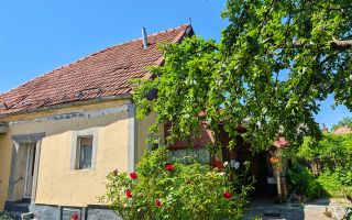 Casa Ghelari, 3 camere, 678mp, baie, buc., termopane, curte si gradina - Poză 4