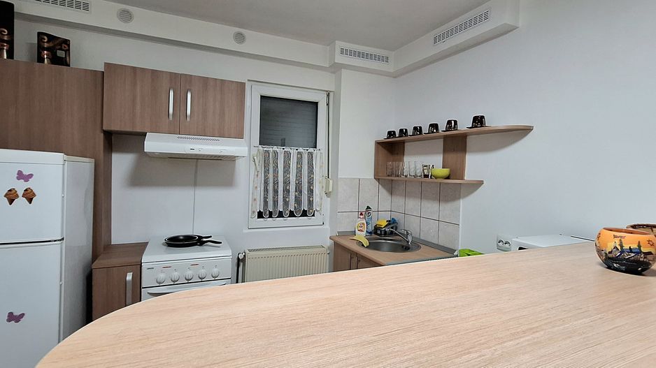 Apartament 2 camere - Take Ionescu - Poză 13