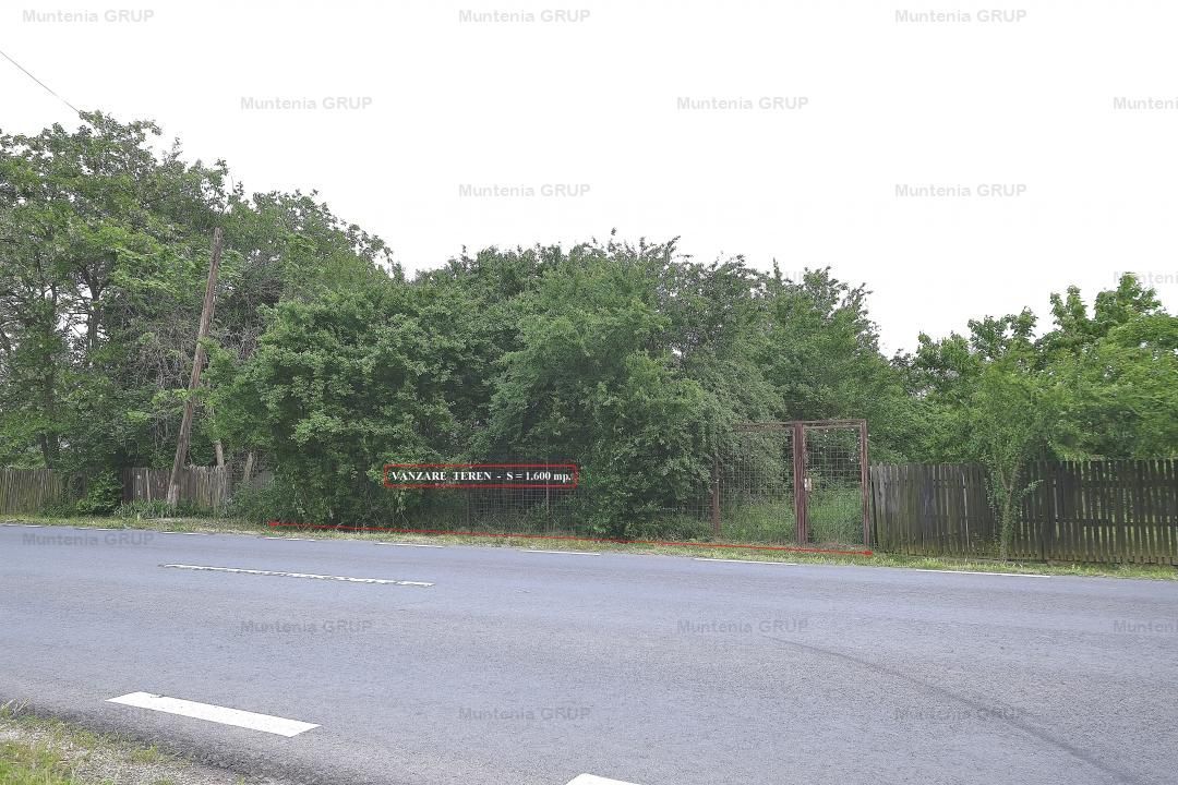 CIOLPANI  - DC 101 C, vanzare 1.600 mp. teren cu pozitie excelenta - Poză 3
