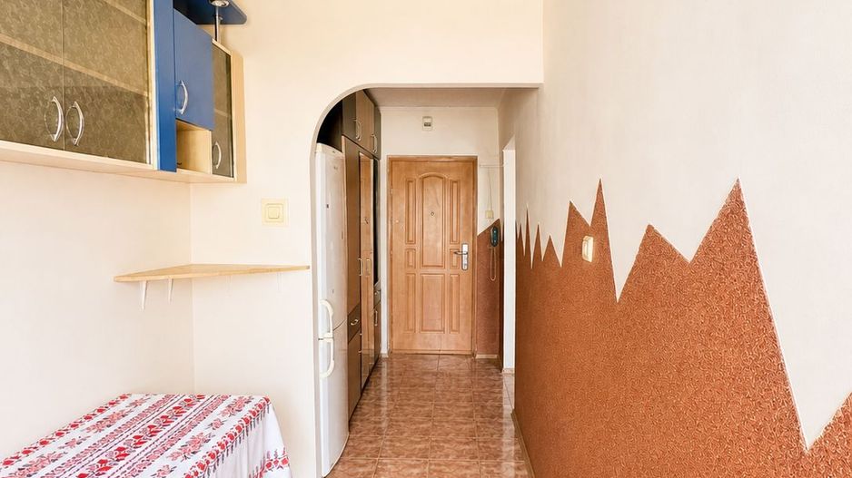 Apartament cu o cameră - Zona Nufarul - Poză 5