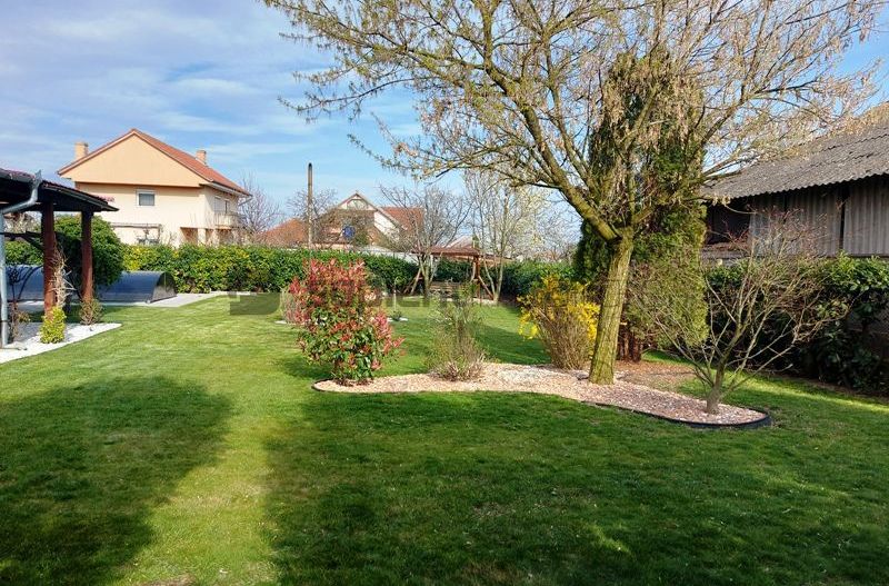 De vanzare casa si spatiu de restaurant in Tarian - Poză 24