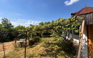 Casă bătrânească cu teren de 3.200 mp în Hertioana de Jos, jud.Bacău - Poză 19