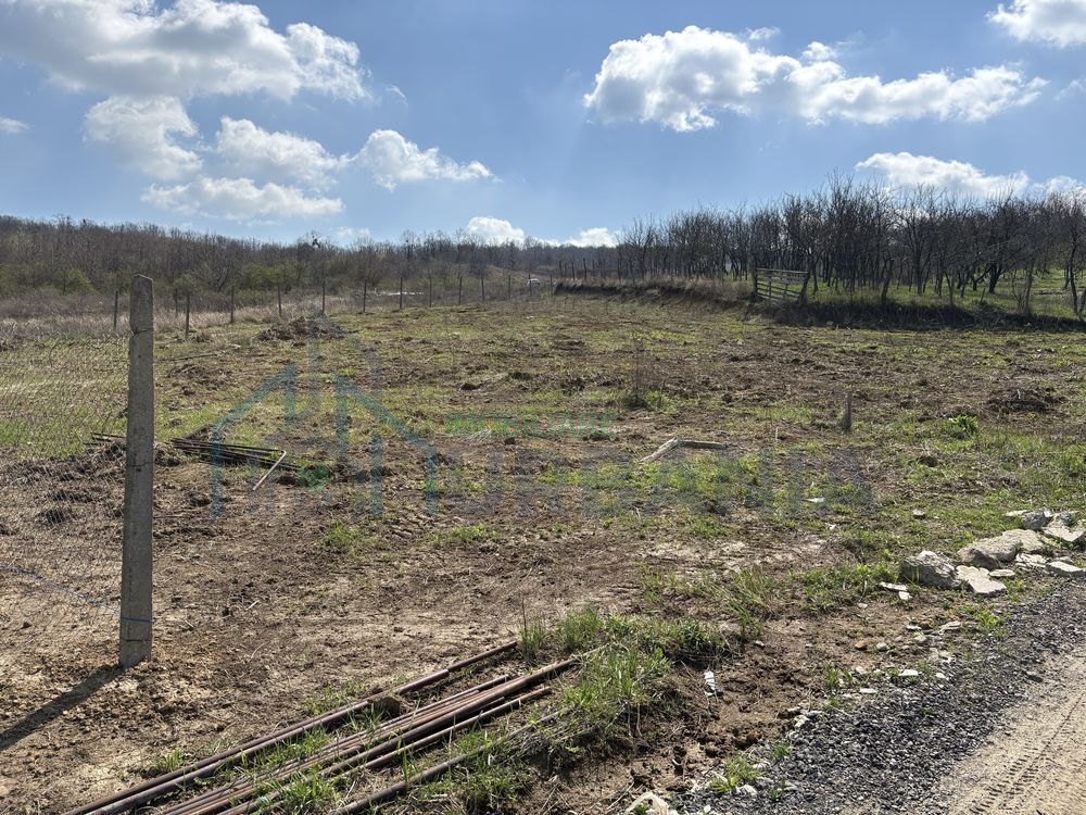 Terenuri intravilan în satul Vladiceni, comuna Tomești - Poză 4