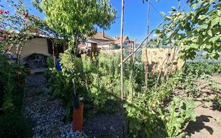 OPORTUNITATE SIBIU I Casa 3 Camere I Curte I Terezian - Poză 8