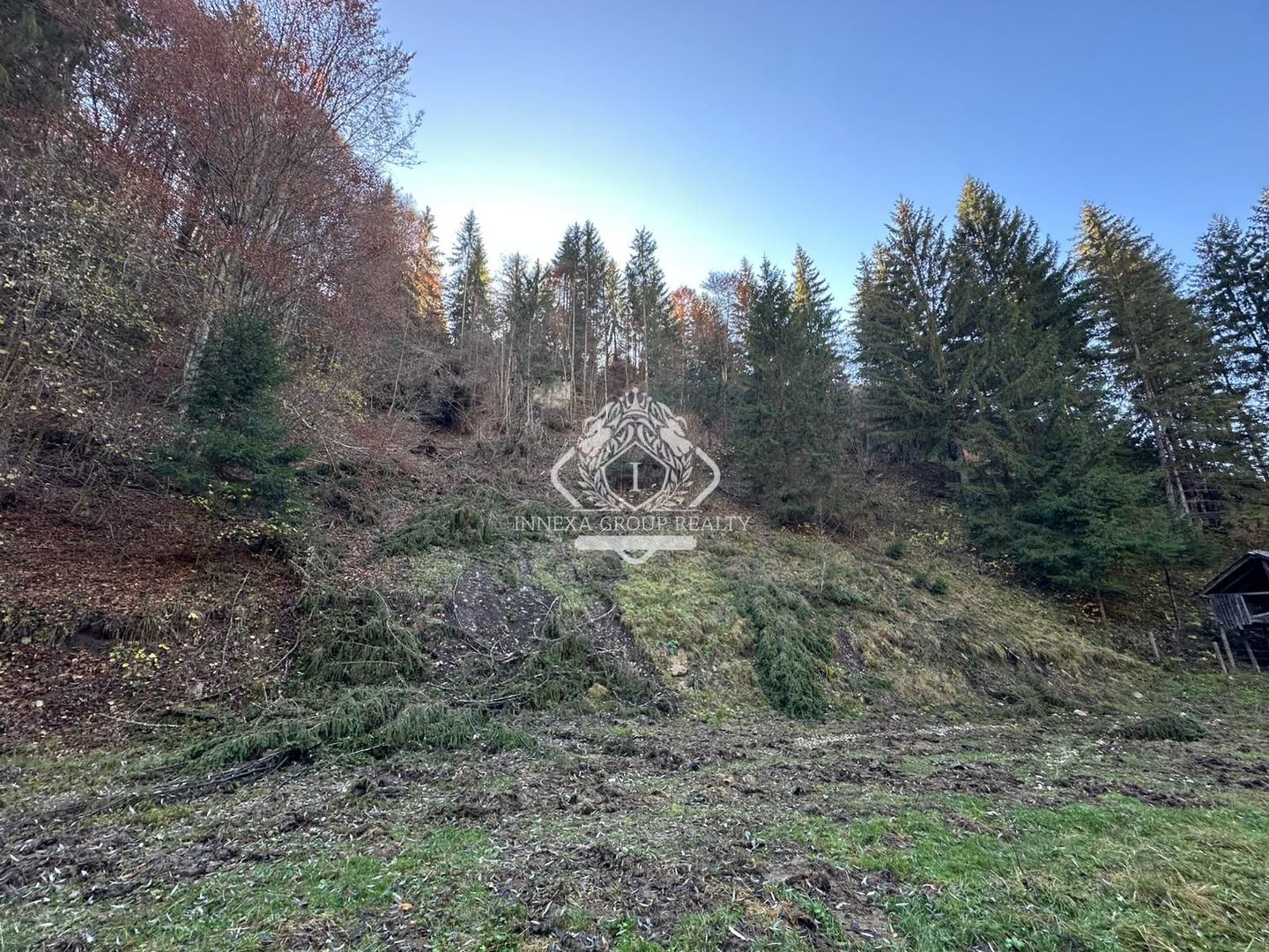 Teren 2.882 mp – oportunitate investitie - Cheile Dâmbovicioarei - Poză 2