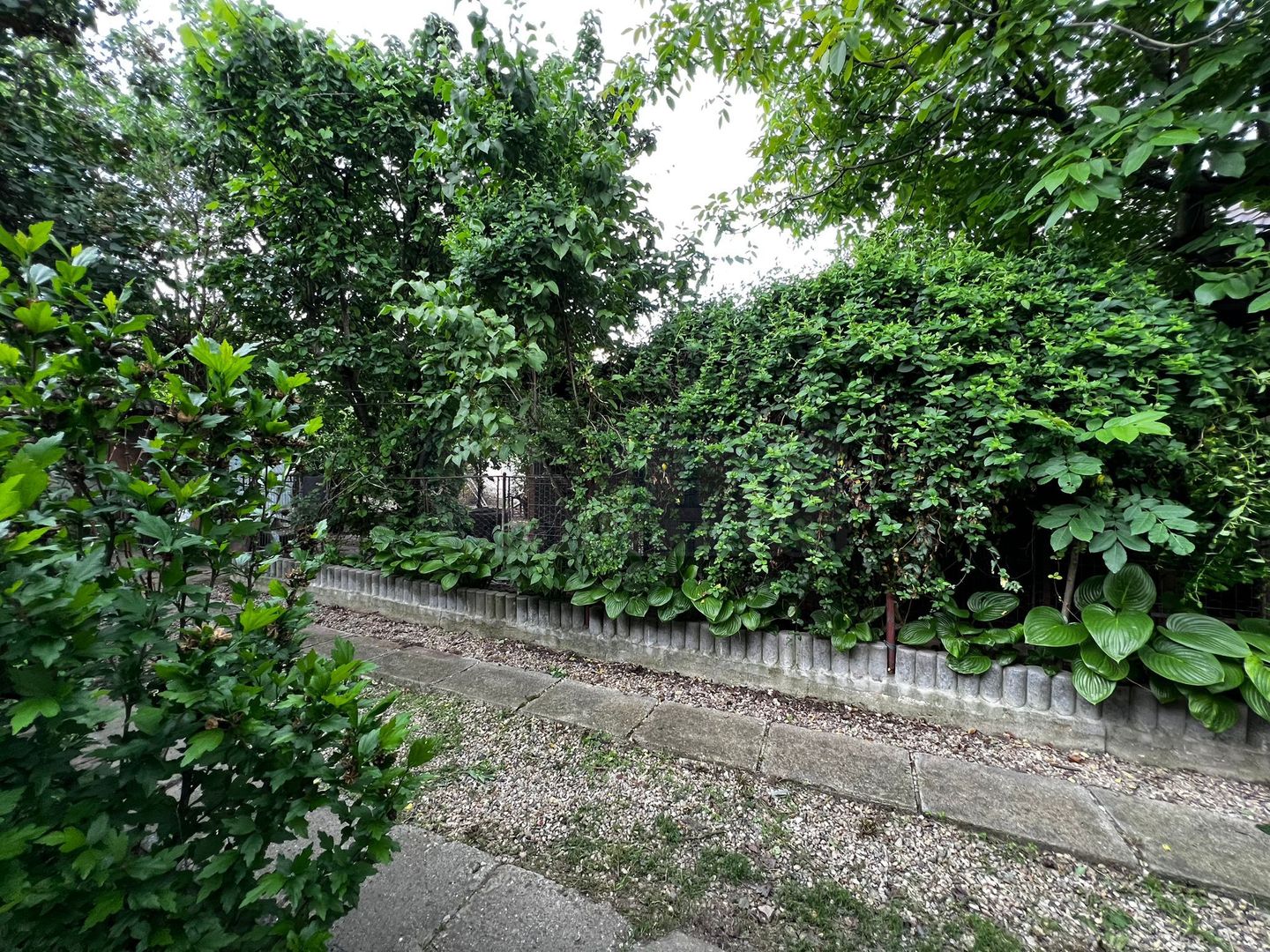 Casa de vanzare in Gilau, teren de 840 mp, zona buna - Poză 8