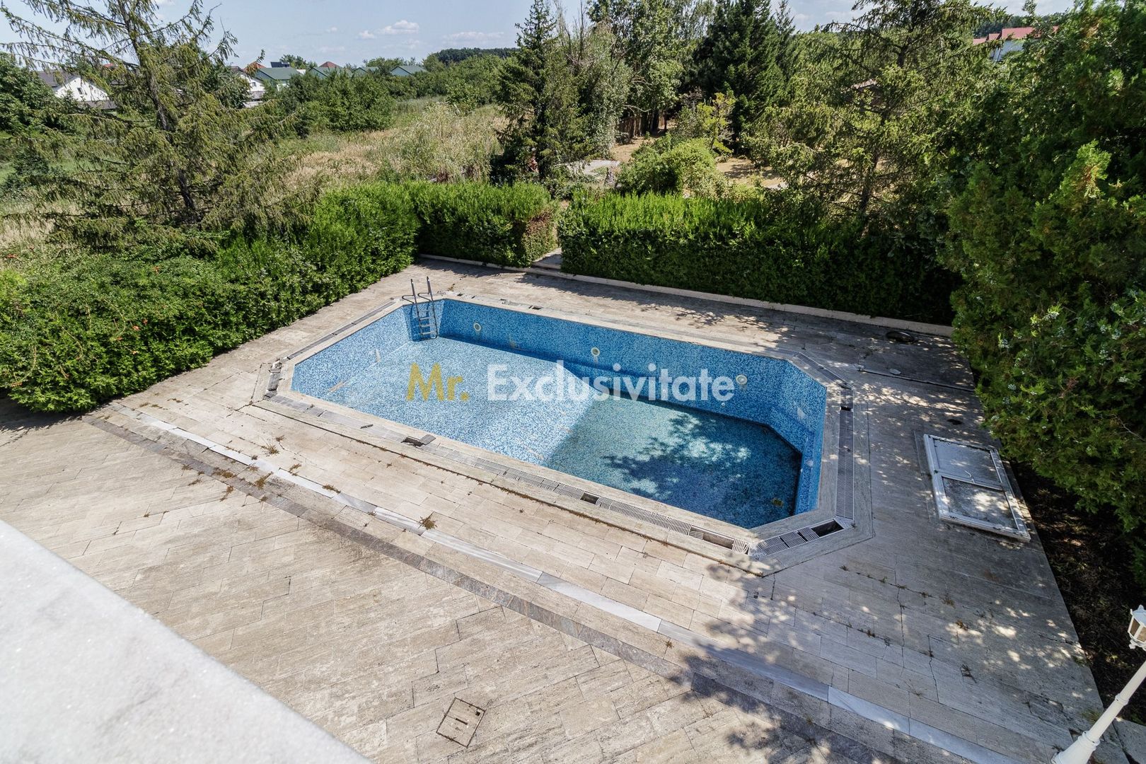 Domeniu privat 5.000 mp, cu reședință de 625 mp și piscină, Corbeanca - Poză 38