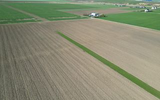 Teren de vânzare, Com. Nicolae Bălcescu, Jud. Bacău - Poză 8