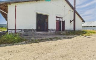 Hale 1800 mp fiecare – acces autostradă, Teiu, HD - Poză 19