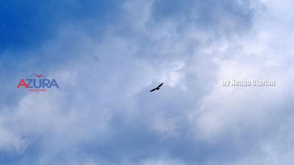 AZURA Imobiliare Pitesti - Casă de vacanță, Nucșoara! - Poză 90