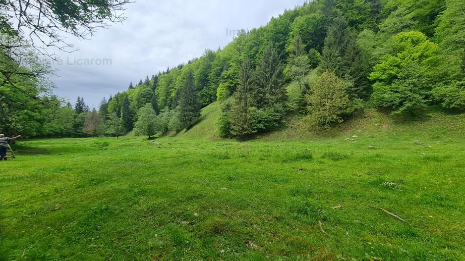 13005 mp teren faneata in Bran Simon cu fornt de 57 mp - Poză 2