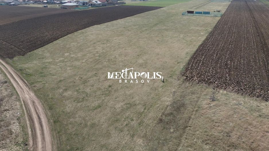 Teren Bod 1200mp/ 37 euro mp - Poză 6