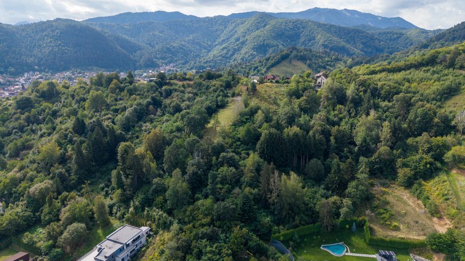 COMISION 0% | TEREN INTRAVILAN 3.731 MP | OPORTUNITATE RARĂ | BRAȘOV - Poză 4