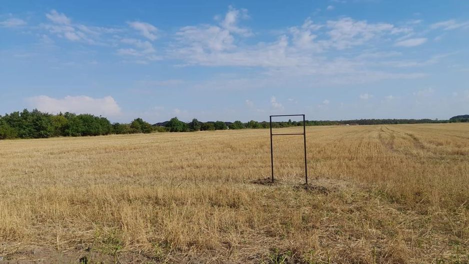 Teren Tamasi Corbeanca - Poză 3