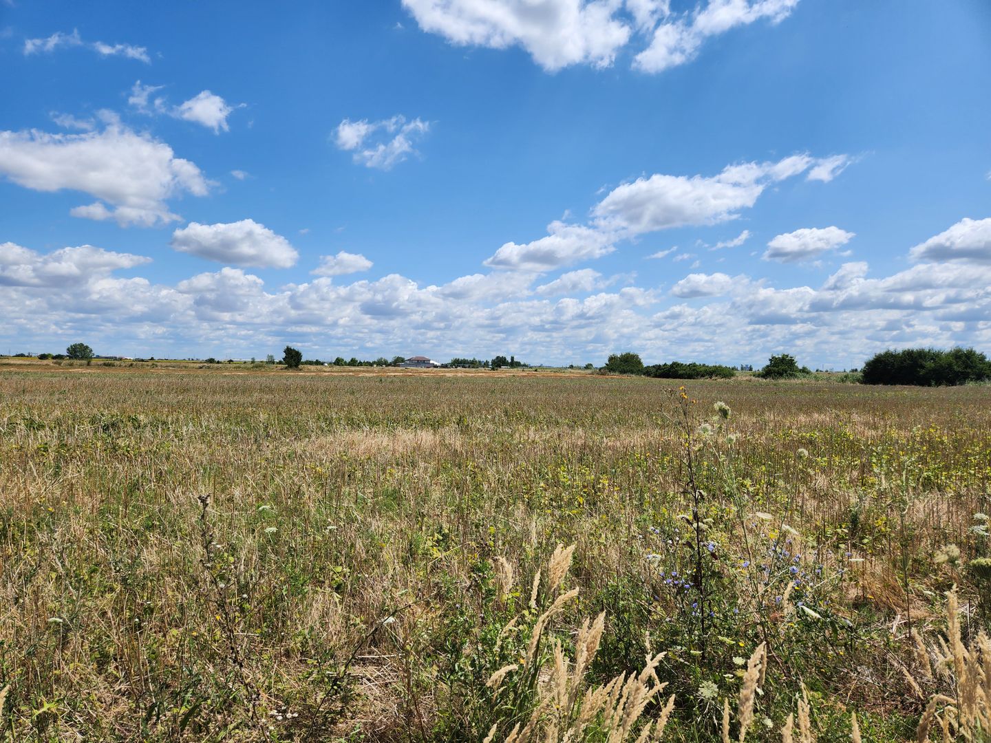 PUZ rezidential /servicii de vanzare Sacalaz - Poză 10