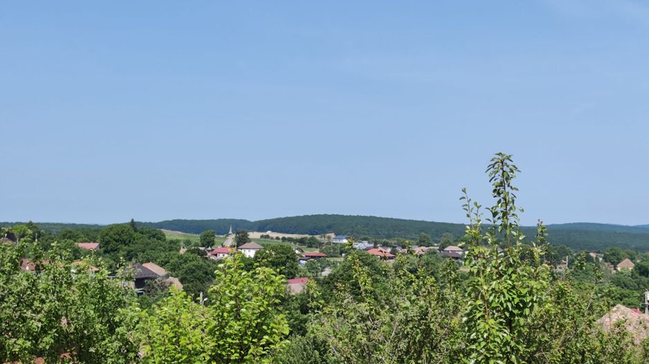 Casa individuala cu teren de 5000 mp, Deusu - Poză 7