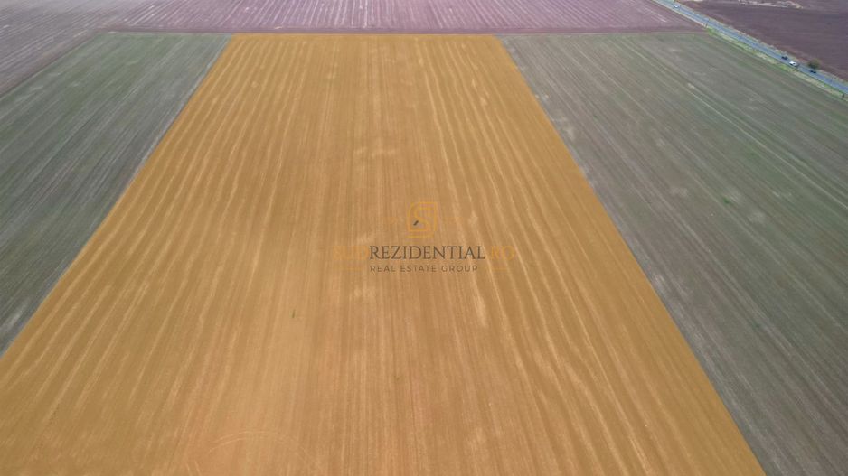 Teren 84.400 mp, ideal dezvoltare rezidentiala, PUZ aprobat, Frumusani - Poză 4