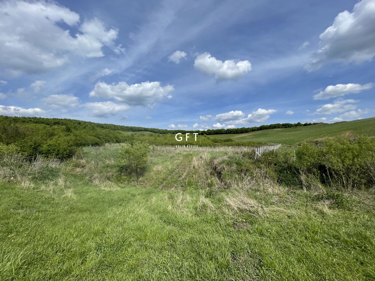 Teren extravilan 10000 mp, Jelna. - Poză 7