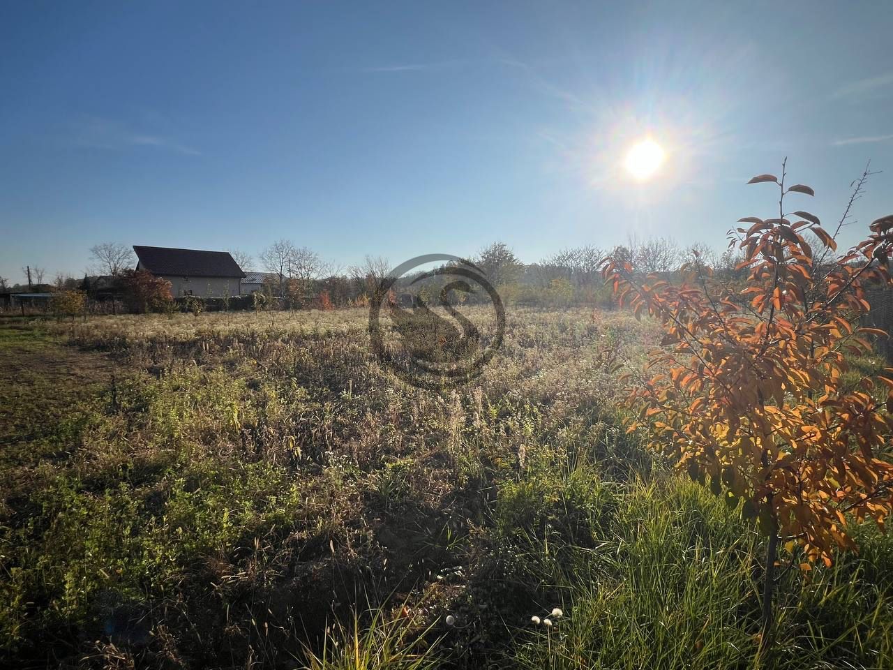 Teren intravilan de vanzare | 12.650 mp | Ghirdoveni | Comision 0% - Poză 6