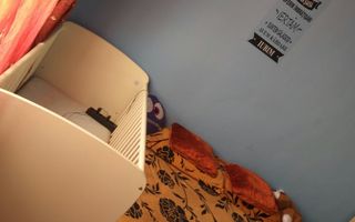 Apartament 2 camere  zona Steaua - Poză 2