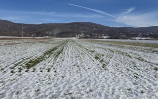 Teren intravilan 5.699 mp – Băiculești, jud. Argeș - Poză 3