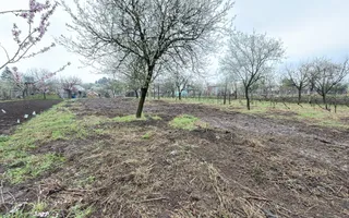 De vânzare 2 Case de vinificație cu Teren 4108 mp - Grădina Viilor - Carei - Poză 18