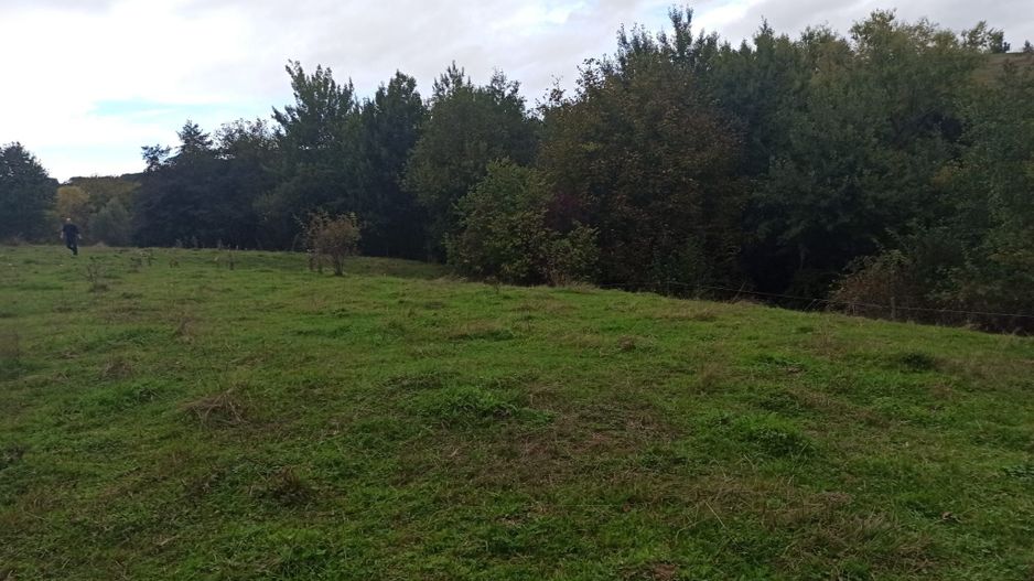 Parcele de teren intravilan cu utilitati-Rasinari-Sibiu - Poză 6