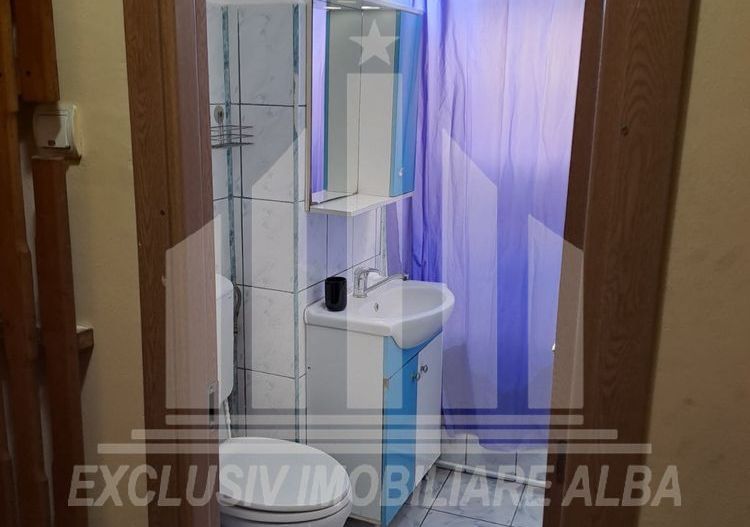 Garsoniera decomandata, etaj intermediar, Industriala - Poză 4