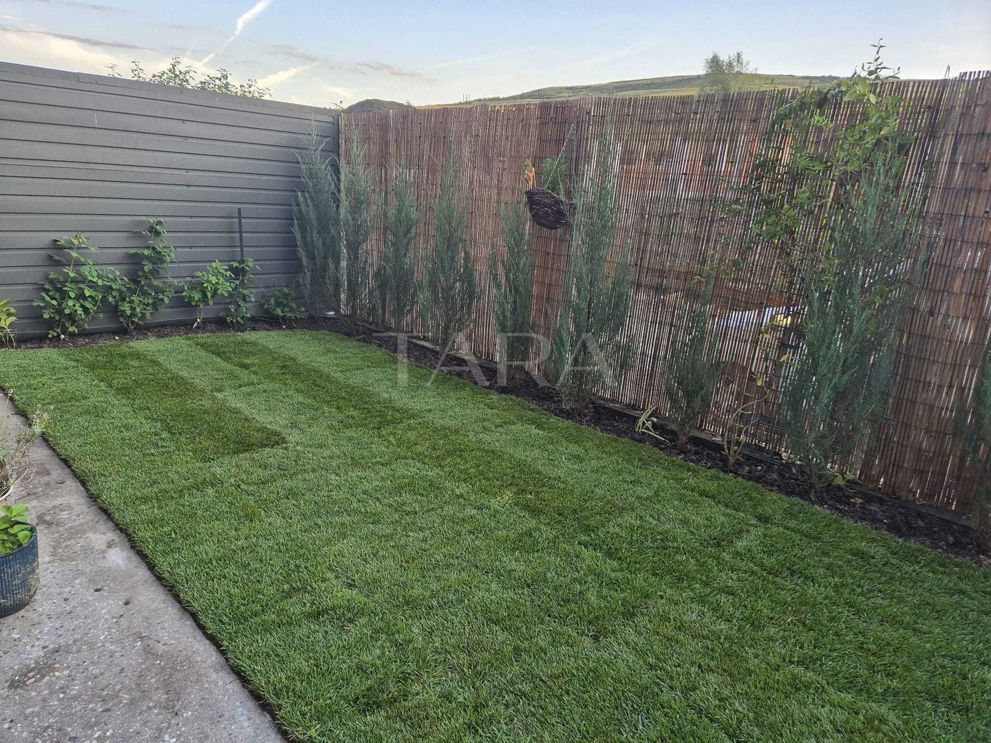 Apartament 2 camere – Chinteni - Poză 8