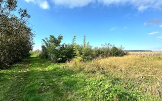 Livada+gradina, teren intravilan 2902mp, Damienesti-Bacau, comision 0 - Poză 12