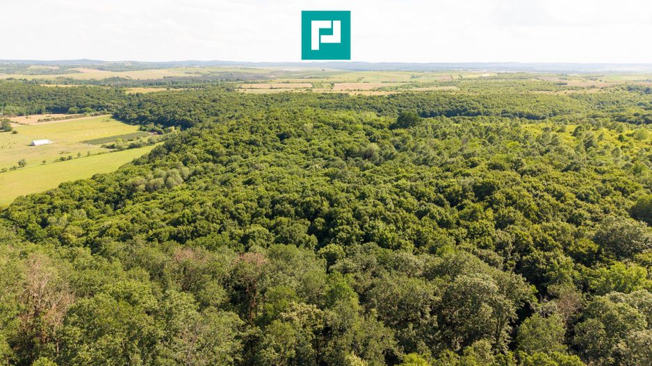 TEREN AGRICOL EXTRAVILAN  22.900 MP LIPOVA - Poză 8