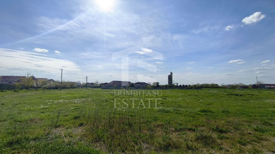 Casa cu 4 camere cu teren de 14,340 mp + platforma de beton cu hala - Poză 11